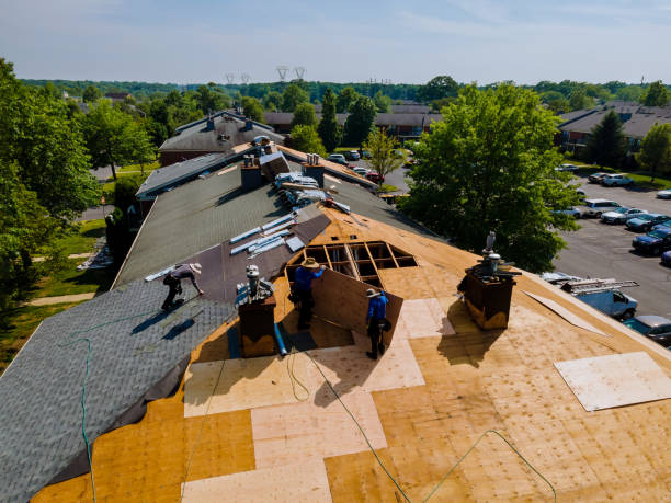 Best Roof Maintenance Services  in Crestline, OH